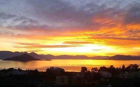Aegina Mountain Aromas